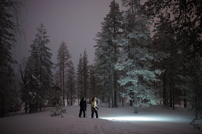 Ski Trekking under the Northern Lights - Booking details worth knowing