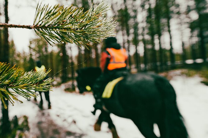 Small-Group Arctic Circle Horse Riding from Rovaniemi - Why this ride feels different from a standard trail outing