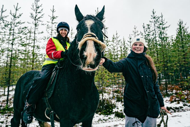 Small-Group Arctic Circle Horse Riding from Rovaniemi - Pickup, timing, and the risk of a changed departure