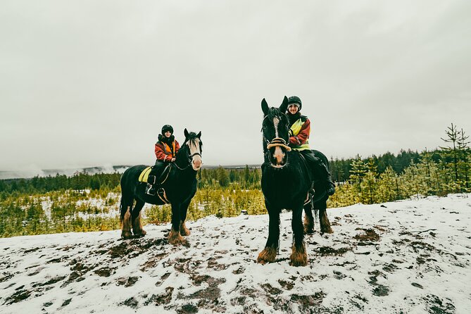 Small-Group Arctic Circle Horse Riding from Rovaniemi - Who should book this experience?
