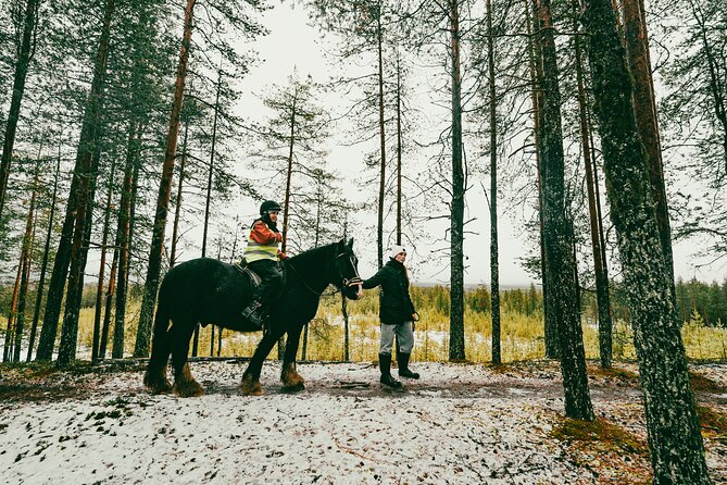 Small-Group Arctic Circle Horse Riding from Rovaniemi - What to wear and how to prepare