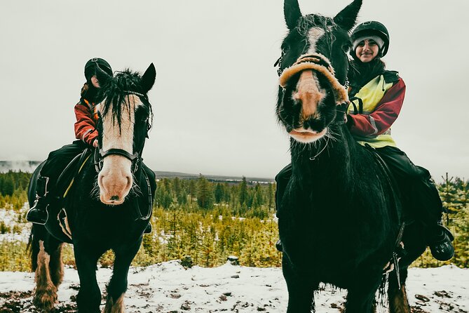 Small-Group Arctic Circle Horse Riding from Rovaniemi - Meeting the barefoot Irish Cobs