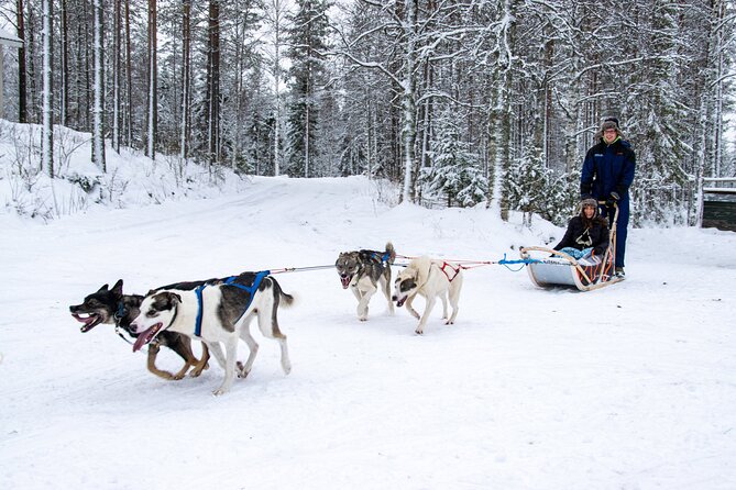 Small-Group Husky Mushing Experience in Rovaniemi - From Rovaniemi to Parpalandia, a 45-minute ride south