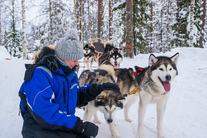 Small-Group Husky Mushing Experience in Rovaniemi - Six to ten kilometers through snowy forest