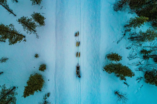 Small-Group Husky Mushing Experience in Rovaniemi - Who will enjoy this most
