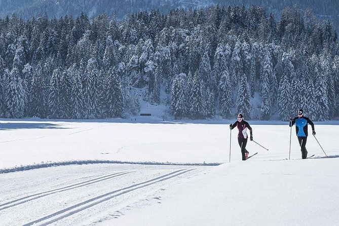 Small-Group Lapland Cross Country Ski - Why cross-country skiing fits Rovaniemi so well