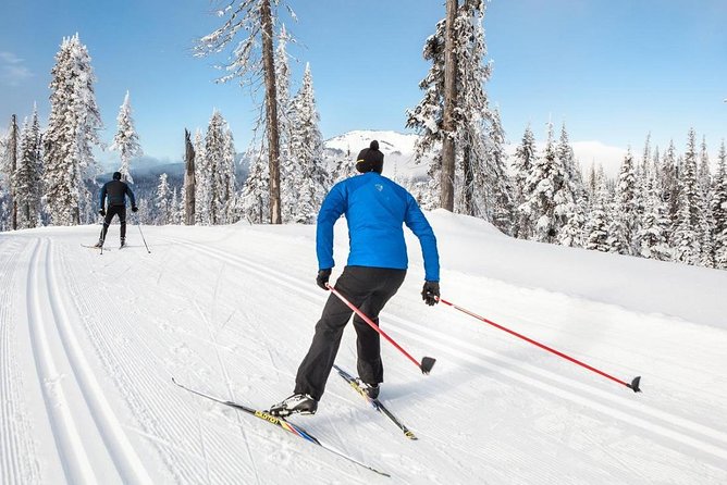 Small-Group Lapland Cross Country Ski - What the three-and-a-half-hour outing feels like