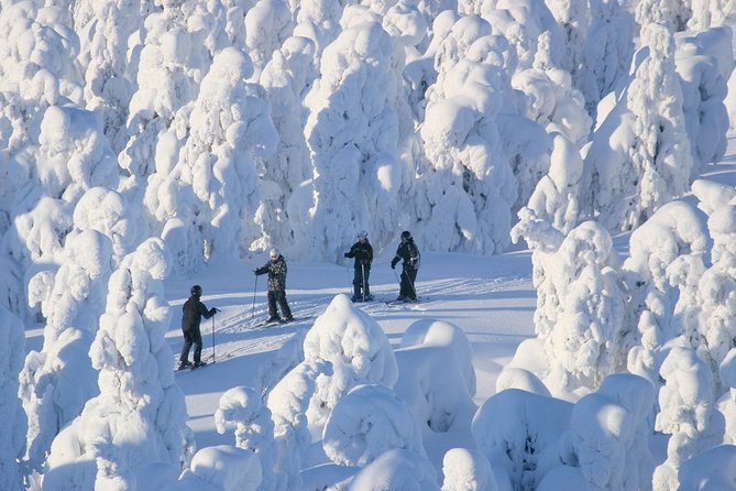 Small-Group Lapland Cross Country Ski - Meeting point, timing, and the transfer confusion