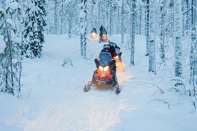 Small-Group Snowmobile Experience in Rovaniemi - Leaving Rovaniemi for Parpalandia