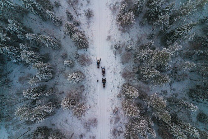 Small-Group Snowmobile Experience in Rovaniemi - A bonfire break with sausages and warm juice