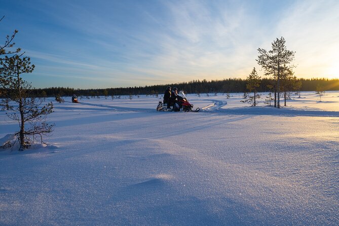 Small-Group Snowmobile Experience in Rovaniemi - What the $213 price really buys