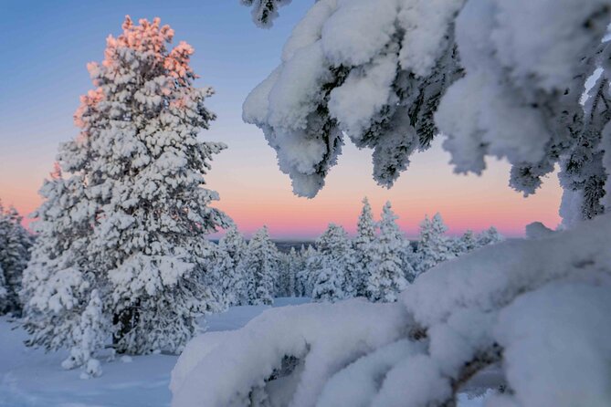 Small-Group Snowshoeing Adventure In Lapland - Leaving Rovaniemi for the snowy forest