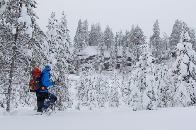 Small-Group Snowshoeing Adventure In Lapland - The warm break with coffee, tea, and snacks