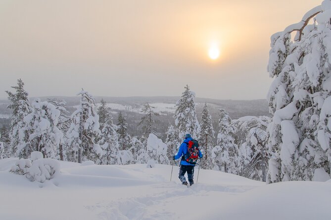 Small-Group Snowshoeing Adventure In Lapland - Learning to walk on Lapland snowshoes