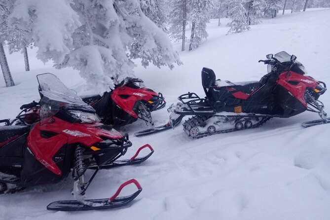 Snowmobile and Ice Fishing Excursion (private tour) - Snowmobiling across frozen rivers and forests