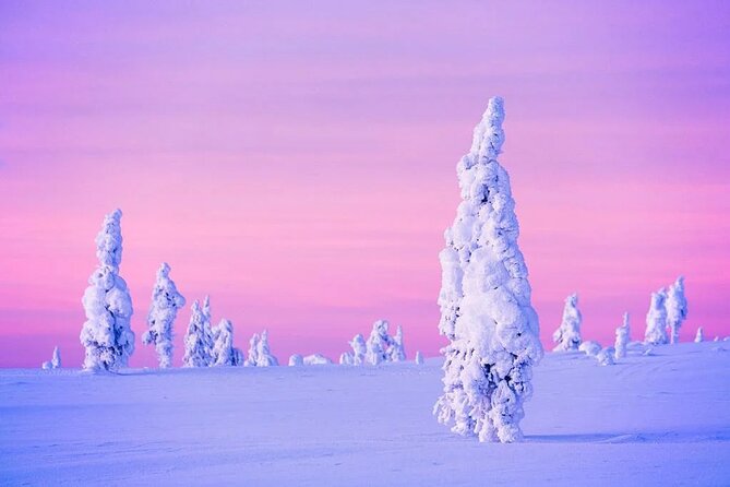 Snowmobile and Ice Fishing Experience - Who will enjoy this Rovaniemi outing