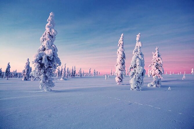 Snowmobile and Ice Fishing Experience - Booking, weather, and cancellation details