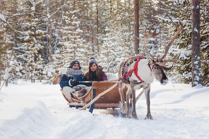 Snowmobile & Animals Day Tour - Is $276.95 a fair price?