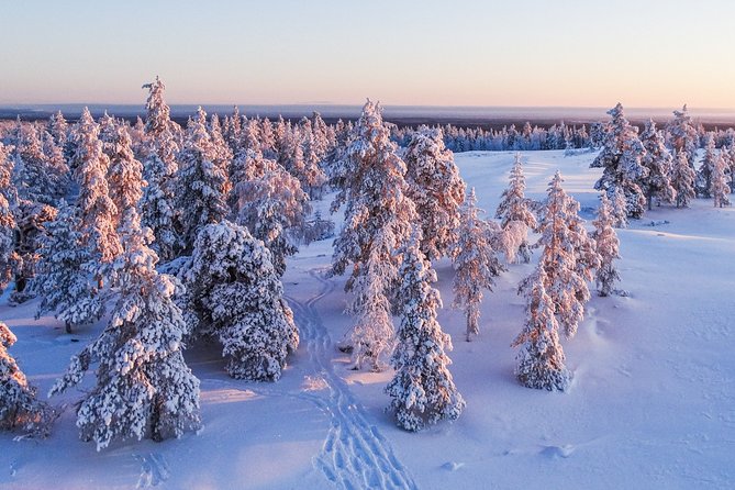 Snowmobile Driving - Morning start - Riding through forests and snow-covered ground