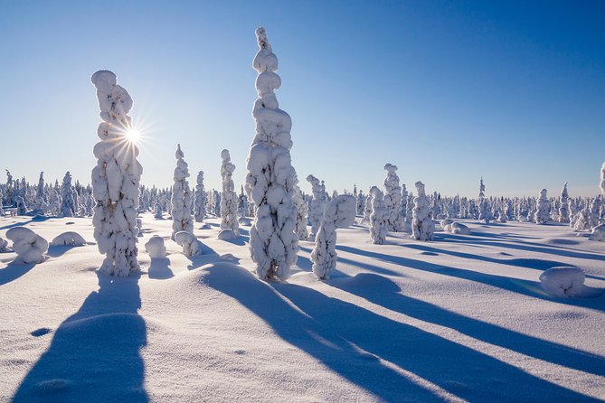 Snowmobile Driving - Morning start - What the morning timing means for your day