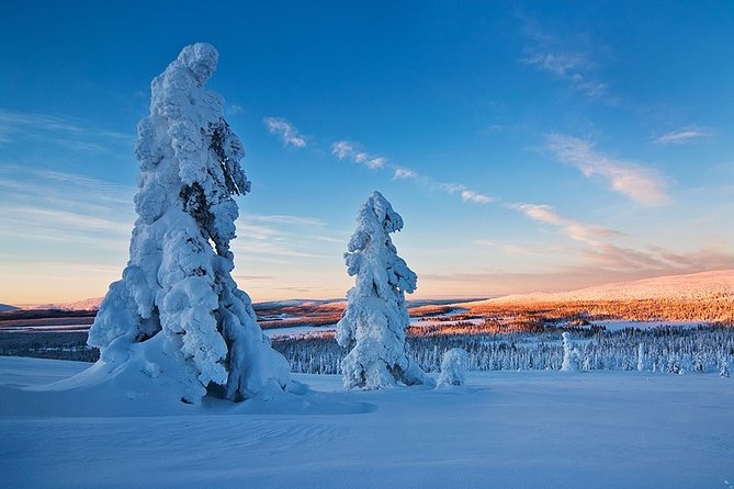 Snowmobile Driving - Morning start - Who will enjoy this most