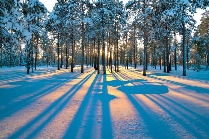 Snowmobile Safari 2h - Booking, cancellation, and weather rules