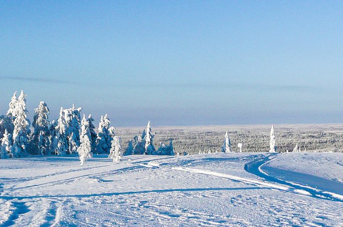 Snowmobile Safari in the Forest - Why the group limit of eight matters