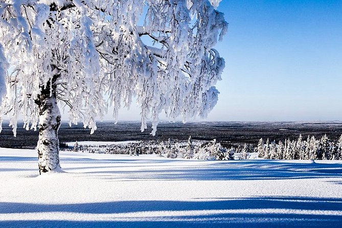 Snowmobile Safari in the Forest - Crossing forests, swamps, lakes, and rivers