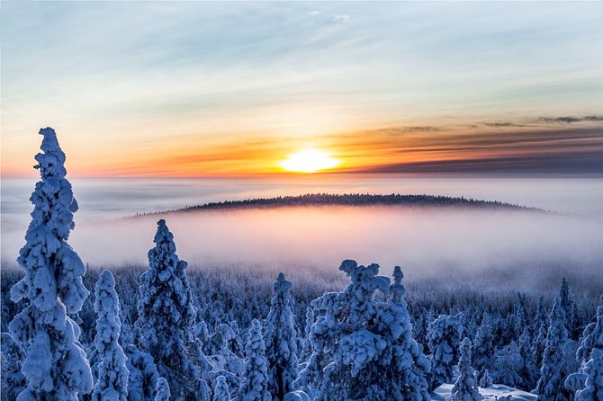 Snowmobile Safari in the Nature - Forest tracks, frozen lakes, and open views