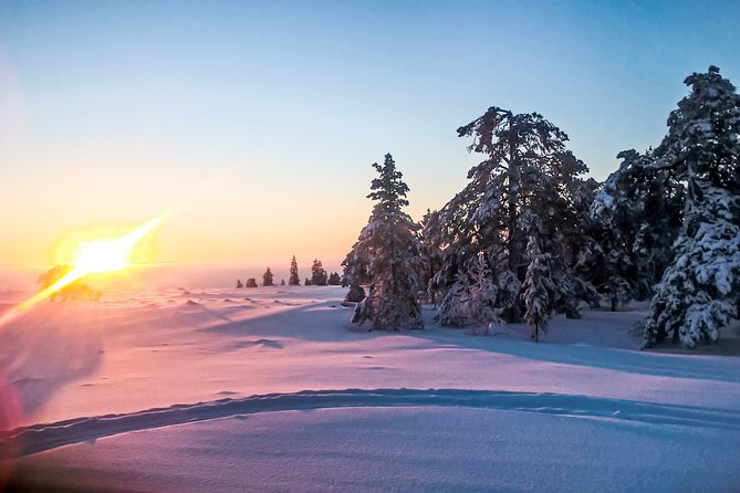 Snowmobile Safari in the Nature - The warm-up stop: coffee, snacks, and a fire