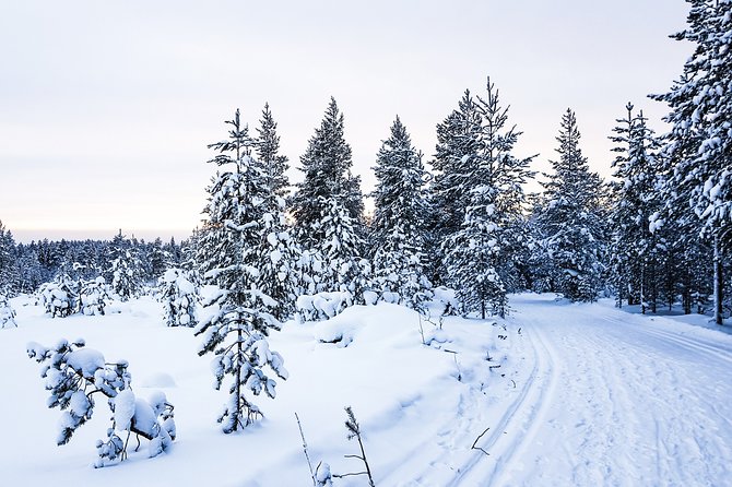 Snowmobile Safari in the Nature - Morning start - Who will enjoy this morning safari?