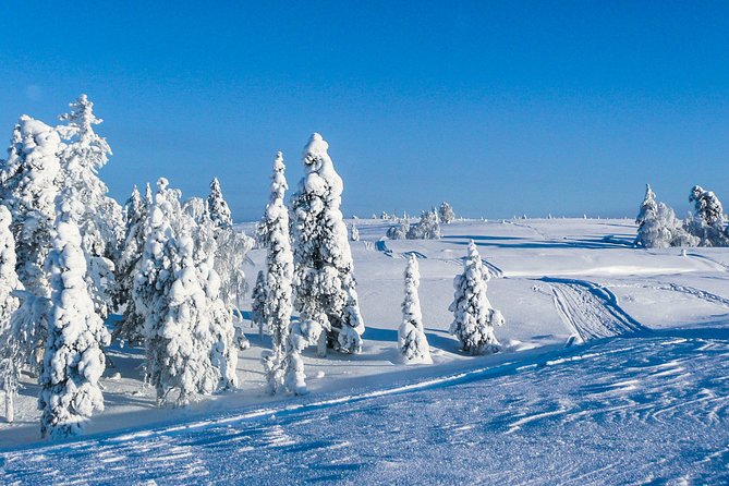 Snowmobile Safari in the Nature - Morning start - Practical details that matter on the day