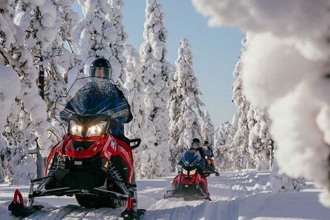 Snowmobile Safari into the Arctic Circle Forest - Key points at a glance