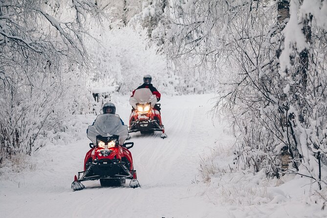 Snowmobile Safari into the Wilderness, Apukka Resort Rovaniemi - Is $146.59 a fair price?