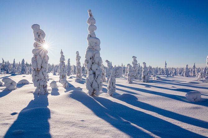 Snowmobile Safari on the Tundra - Who will enjoy this ride most