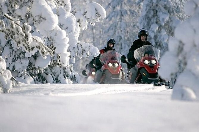 Snowmobile Safari through Lappish Forest from Rovaniemi - Key points before you book