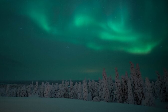 Snowmobile Safari to Search for the Northern Lights - Who will enjoy this safari most