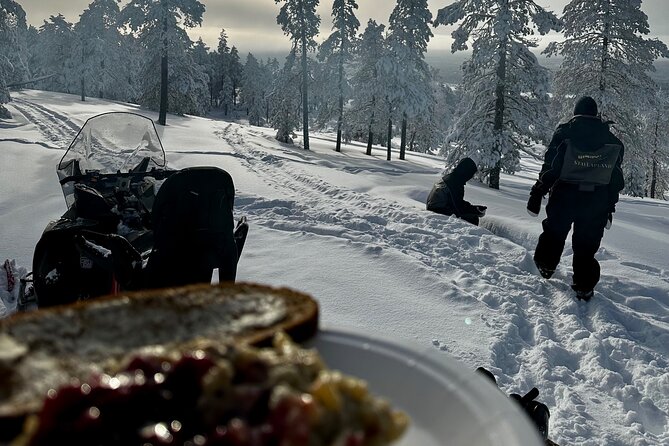 Snowmobile Safari to the Wilderness - Key points to know before booking