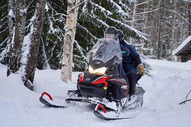 Snowmobile Safari to the Wilderness - An open-fire lunch in the middle of nature