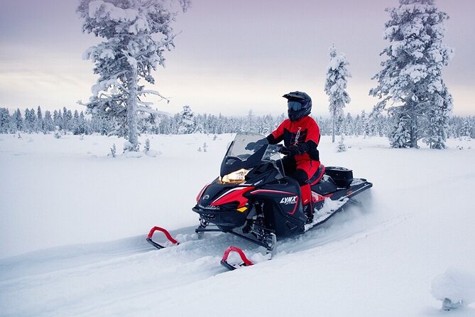 Snowmobile Tour with Small Group in Remote Wilderness 3 Hours - What the Three Hours Actually Include