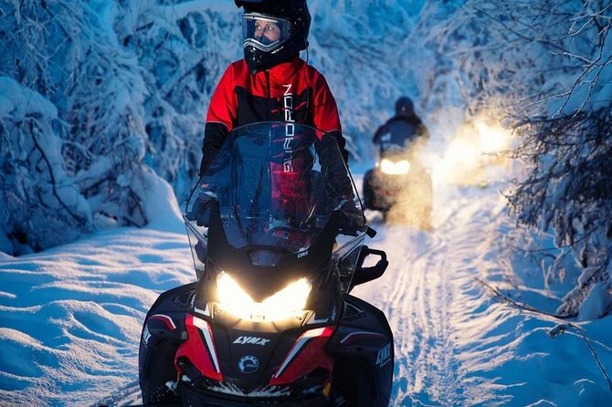 Snowmobile Tour with Small Group in Remote Wilderness 3 Hours - Safety, Fitness, and Driving Rules