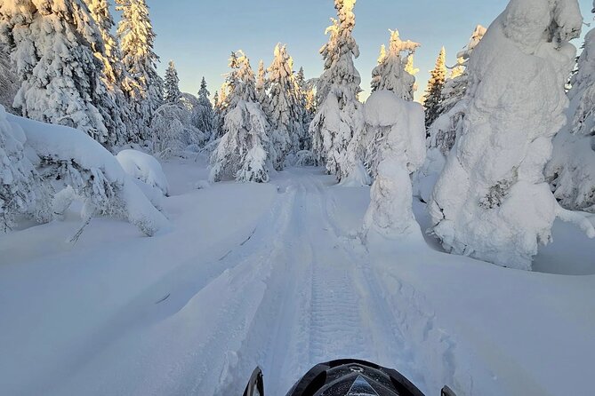 Snowmobile Tour with Small Group in Remote Wilderness 3 Hours - Is $222.27 a Fair Price?