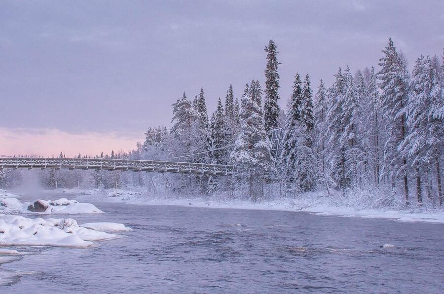 Snowshoe experience with traditional beverages in Lapland - Is $91 good value?