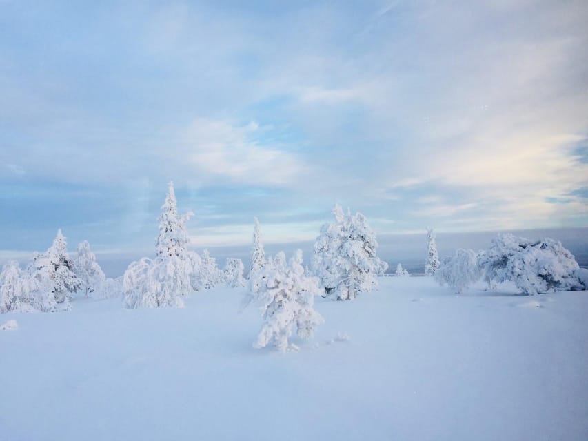 Snowshoe experience with traditional beverages in Lapland - What to wear and bring