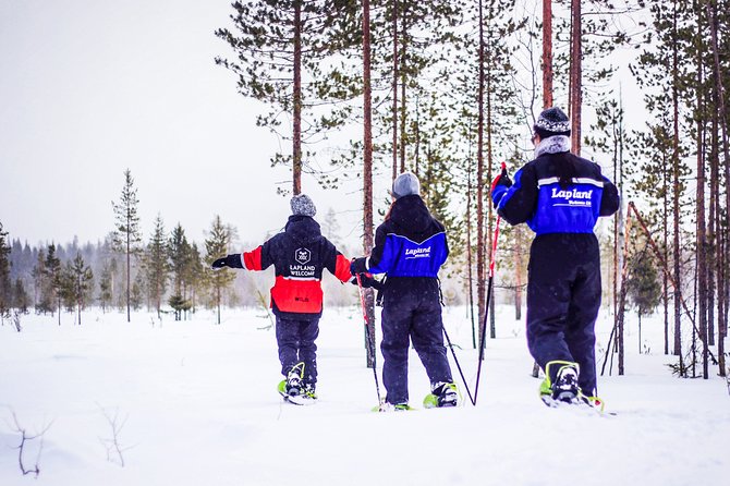 Snowshoe Trip in the Forest - What the three-hour forest trip is really like