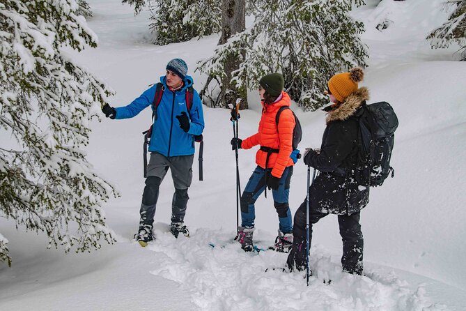 Snowshoeing Adventure with Ice-Fishing, Fire and Survival - Building a small camp beside the frozen lake