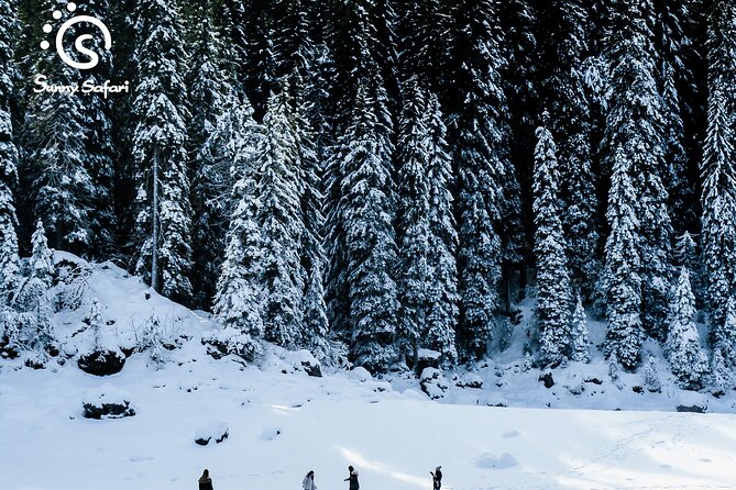 Snowshoeing in Lapland Wilderness - The 45-to-60-minute snowshoe walk