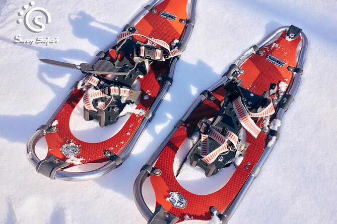 Snowshoeing in Lapland Wilderness - Why families may find this easier than expected