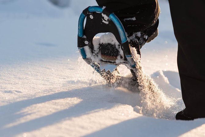 Snowshoeing in the Arctic Circle Wilderness - White trees, clean air, and Arctic quiet