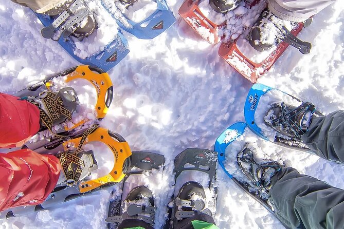 Snowshoeing tour with Wild Lunch - Key points to know